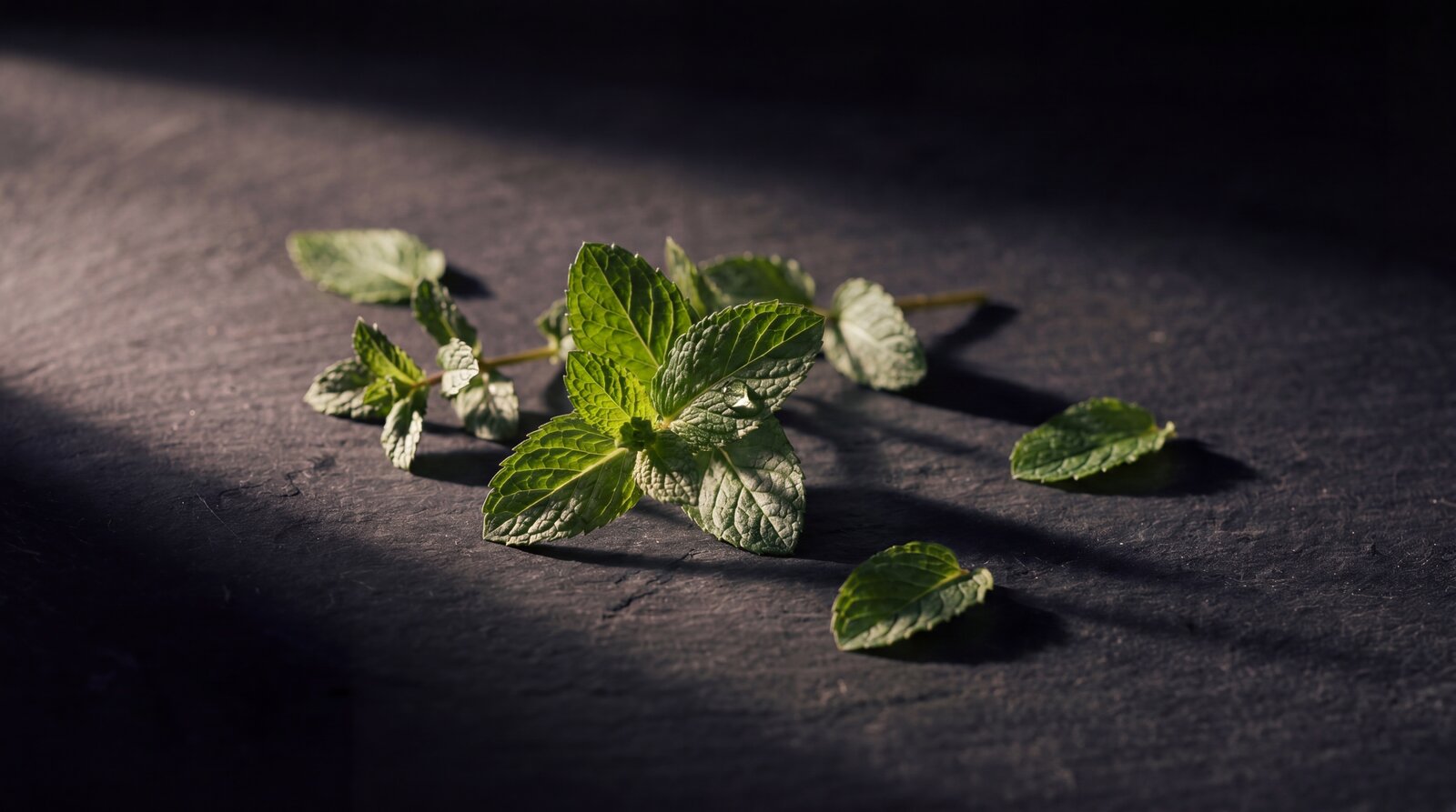 Spearmint on dark slate